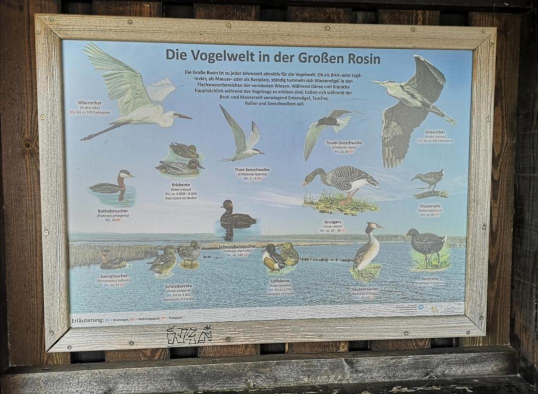 Sommerhaus Verchen Eksteriør billede